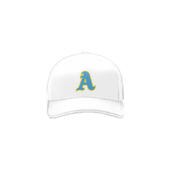 3995 R_P FLEX FIT CAP 172 ARMOLOY-1