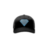 3994 R_P FLEX FIT CAP 172 OHIO-DIAMONDS-1