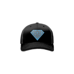 3994 R_P FLEX FIT CAP 172 OHIO-DIAMONDS-1