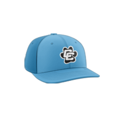 3991 R_P FLEX FIT CAP PTS30 CAROLINA-CRUSHERS-2