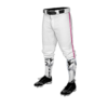 3990 MENS BASEBALL KNICKER PANT PAPPYS-1