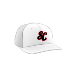4000 R_P FLEX FIT CAP PTS30 MARSHALL-SHECATS-1