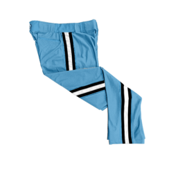 3991 MENS BALLPARK CUSTOM BRAID PANTS CAROLINA-CRUSHERS-2
