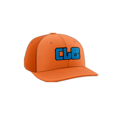 3946 R_P FLEX FIT CAP PTS30 IBEW-LOCAL-38-1