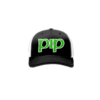 4003 R_P FLEX FIT CAP 172 PUPS-IRISH-PUB-1