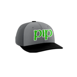 4003 R_P FLEX FIT CAP PTS30 PUPS-IRISH-PUB-1