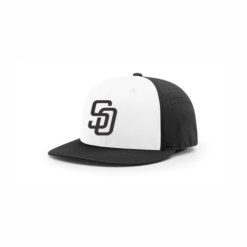 3225 R_P FLEX FIT CAP PTS30