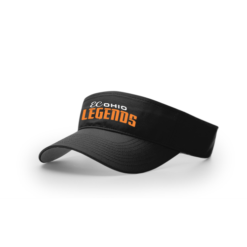3976 RICHARDSON R160 VISOR