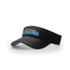 3976 RICHARDSON R160 VISOR
