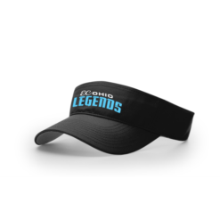 3976 RICHARDSON R160 VISOR