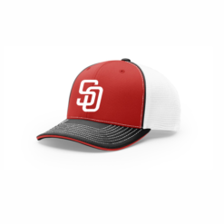 3225 R_P FLEX FIT CAP 172