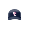 3801 R_P FLEX FIT CAP 172 GC-VIPERS-2025-1