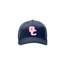 3801 R_P FLEX FIT CAP 172 GC-VIPERS-2025-1