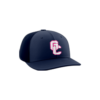3801 R_P FLEX FIT CAP PTS30 GC-VIPERS-2025-1