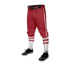 3878 MENS BASEBALL KNICKER PANT JACKSON-JV-BBALL-1