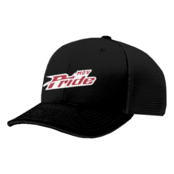 2865 R_P FLEX FIT CAP 172 MOV-PRIDE-1
