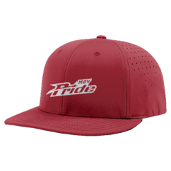 2865 R_P FLEX FIT CAP PTS30 MOV-PRIDE-1
