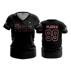 2865 WOMENS V NECK MOV-PRIDE-1