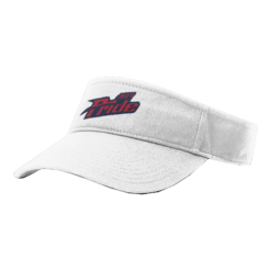2865 RICHARDSON R160 VISOR MOV-PRIDE-2