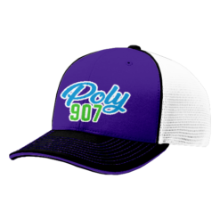 1484 R_P FLEX FIT CAP 172 POLY-907-1