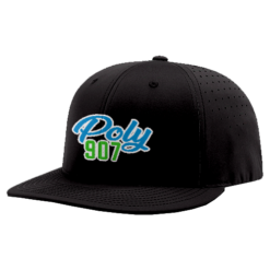 1484 R_P FLEX FIT CAP PTS30 POLY-907-1