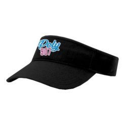 1484 RICHARDSON R160 VISOR POLY-907-1