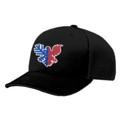 3561 R_P FLEX FIT CAP 172 ALLEGIANCE-HEAT-PUMPS-1