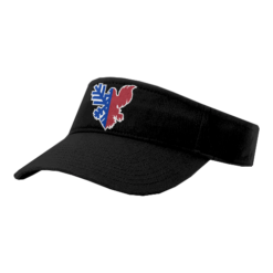 3561 RICHARDSON R160 VISOR ALLEGIANCE-HEAT-PUMPS-1