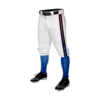 3561 MENS BASEBALL KNICKER PANT ALLEGIANCE-HEAT-PUMPS-2