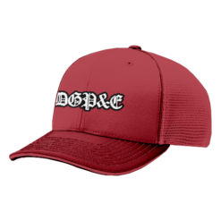 1986 R_P FLEX FIT CAP 172 DGP&E-2025