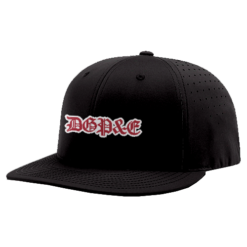 1986 R_P FLEX FIT CAP PTS30 DGP&E-2025