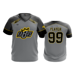 3532 MENS SPORT V NECK QUEEN-BEE-2