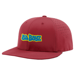 3060 R_P FLEX FIT CAP PTS30 GA-BOYZ-1