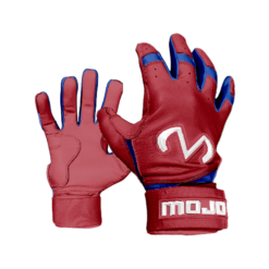 4014 BIGSTICK BATTING GLOVES OHIO-STARZ-ADD
