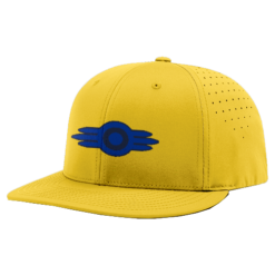 3418 R_P FLEX FIT CAP PTS30 VAULT-631-1