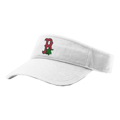 4019 RICHARDSON R160 VISOR BUCKEYE-ELITE-OSU-2