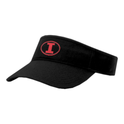 4029 RICHARDSON R160 VISOR INTENSITY-3