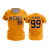3890 WOMENS V NECK MEIGS-2