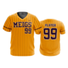 3890 MENS SPORT V NECK MEIGS-2