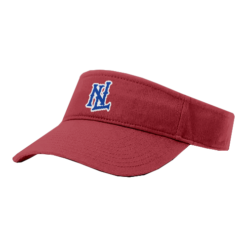 4028 RICHARDSON R160 VISOR NEXT-LEVEL-2