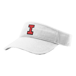 4029 RICHARDSON R160 VISOR INTENSITY-1