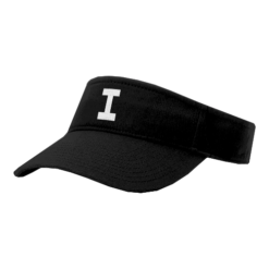 4029 RICHARDSON R160 VISOR INTENSITY-2