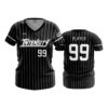 4029 WOMENS V NECK INTENSITY-2
