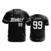 4029 MENS SPORT V NECK INTENSITY-2