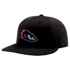 1764 R_P FLEX FIT CAP PTS30 SW-VENOM-1