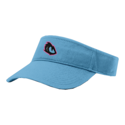 1764 RICHARDSON R160 VISOR SW-VENOM-1