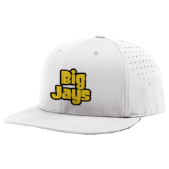 3687 R_P FLEX FIT CAP PTS30 BIG-JAYS-1