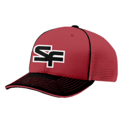 3595 R_P FLEX FIT CAP 172 STATE-FARM-1