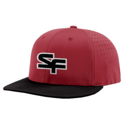 3595 R_P FLEX FIT CAP PTS30 STATE-FARM-1