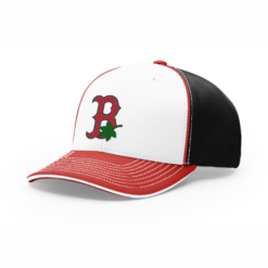 4024 R_P FLEX FIT CAP 172
